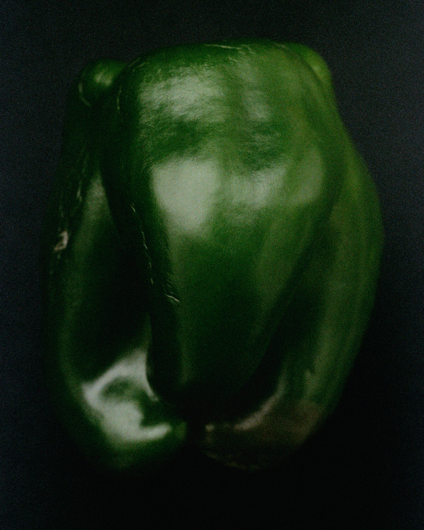 Photograph 12 by Max Zimmermann