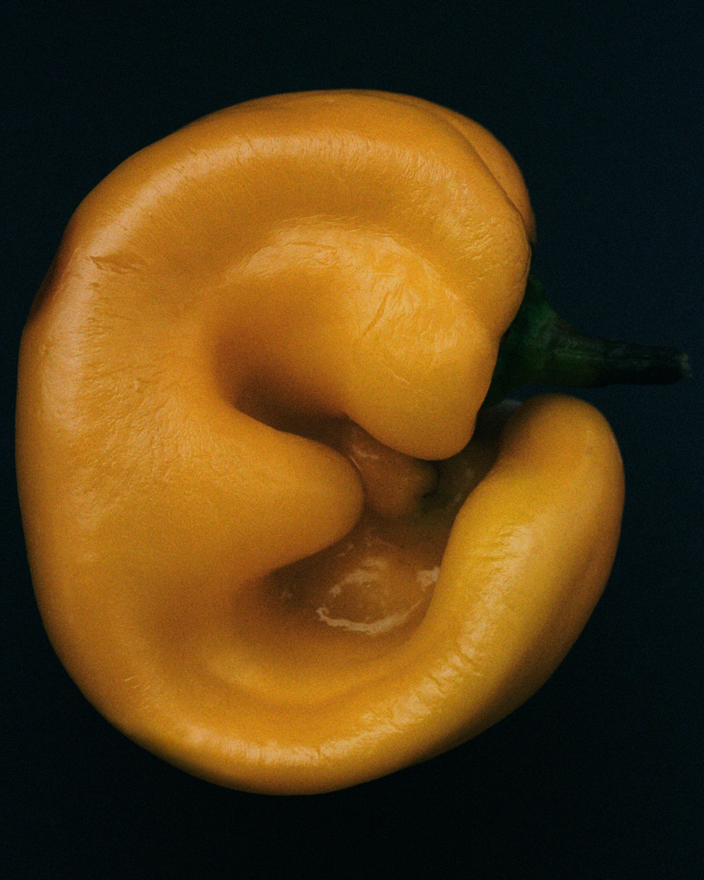 Photograph 13 by Max Zimmermann