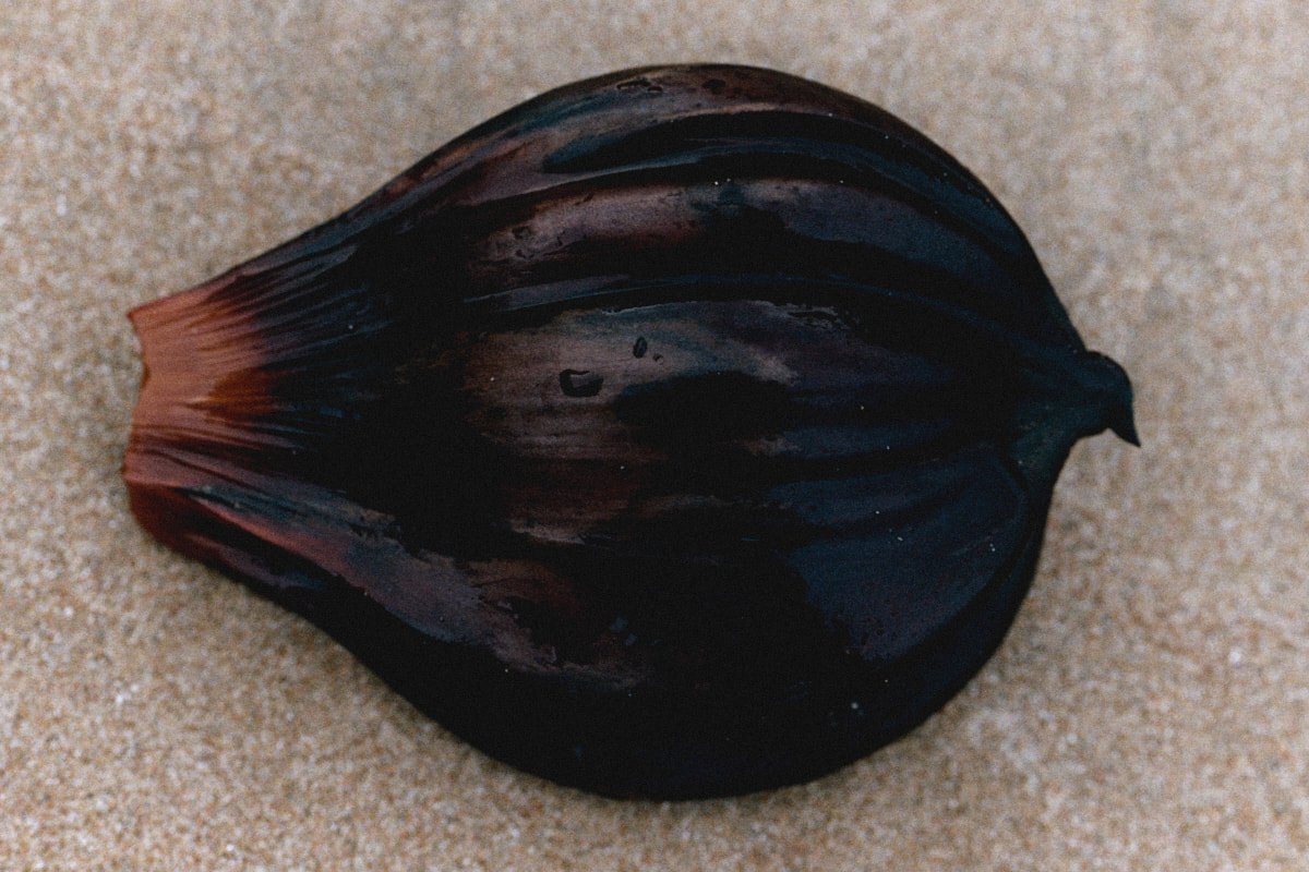 Photograph 21 by Max Zimmermann