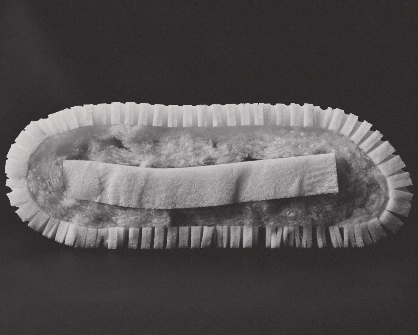 Photograph 2 by Max Zimmermann