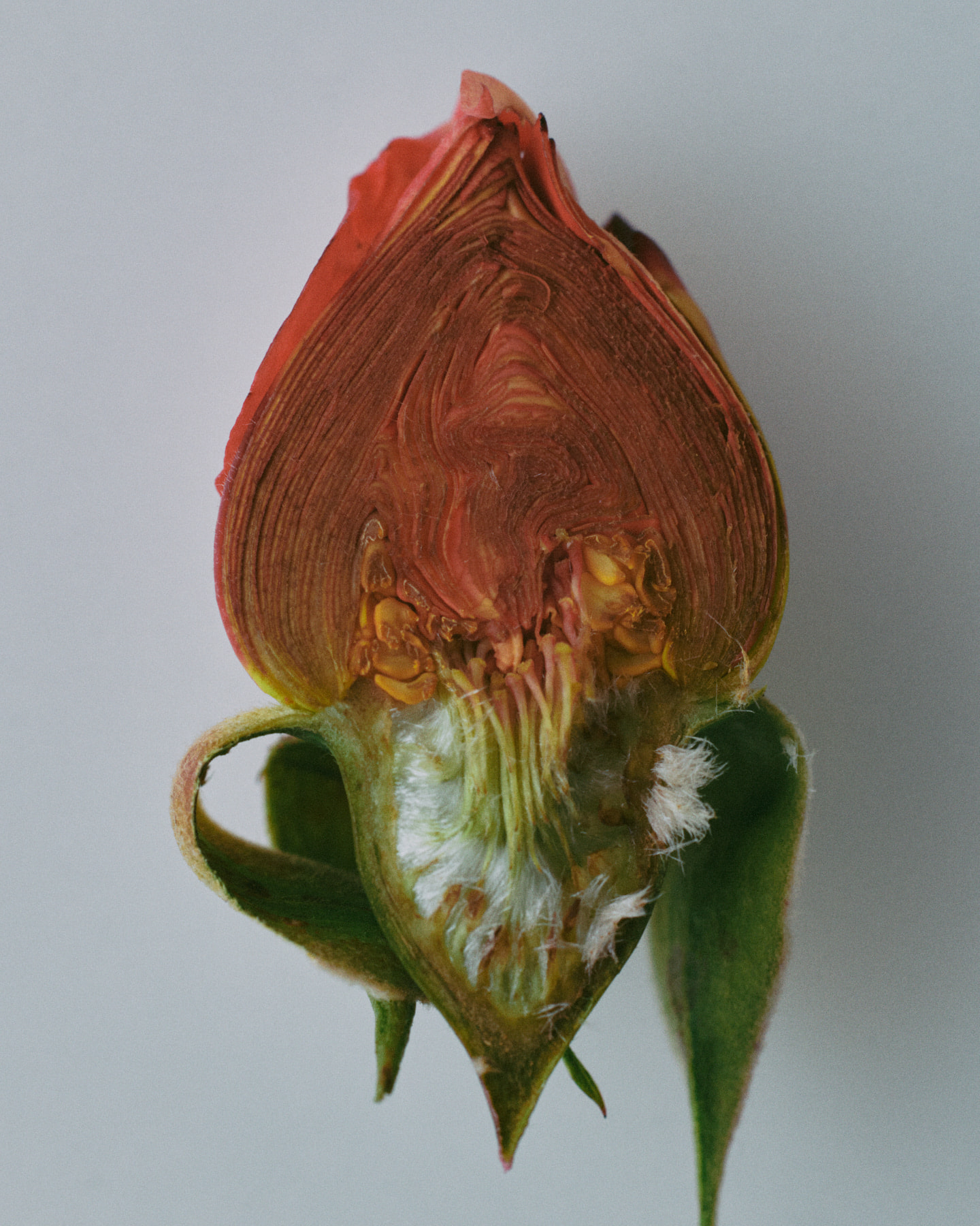 Photograph 3 by Max Zimmermann