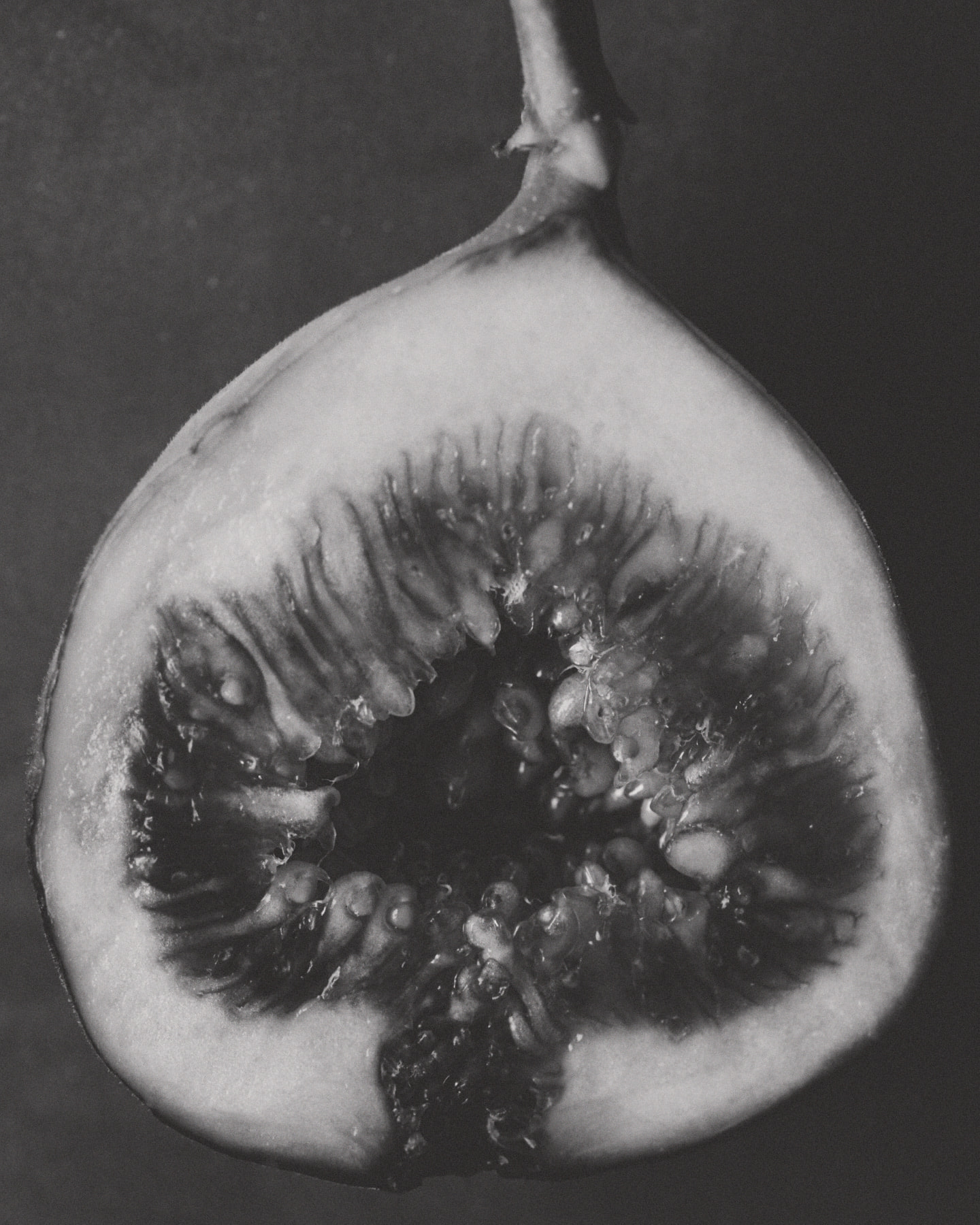 Photograph 4 by Max Zimmermann