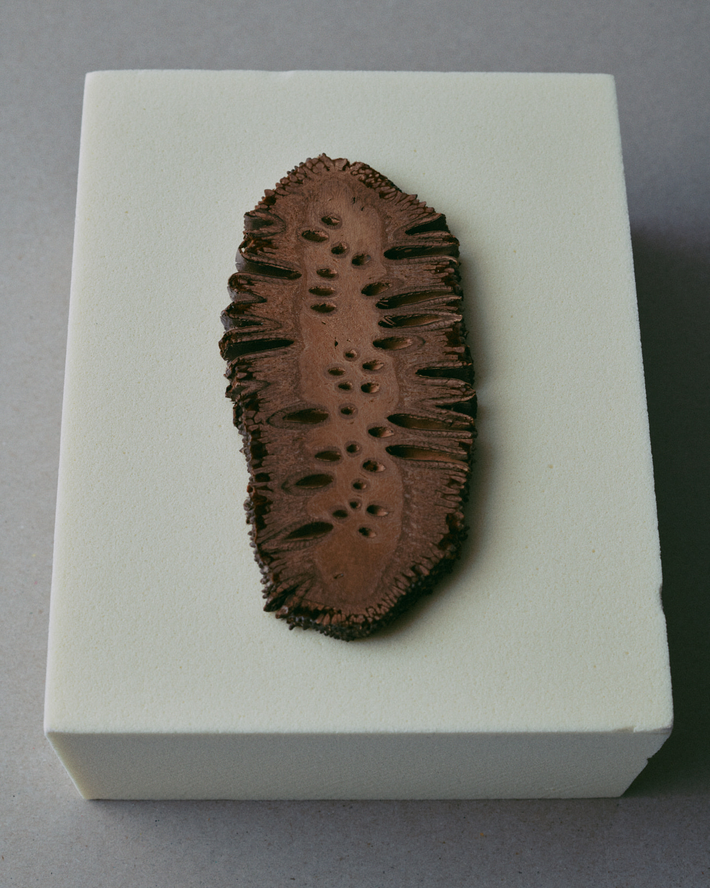 Photograph 5 by Max Zimmermann