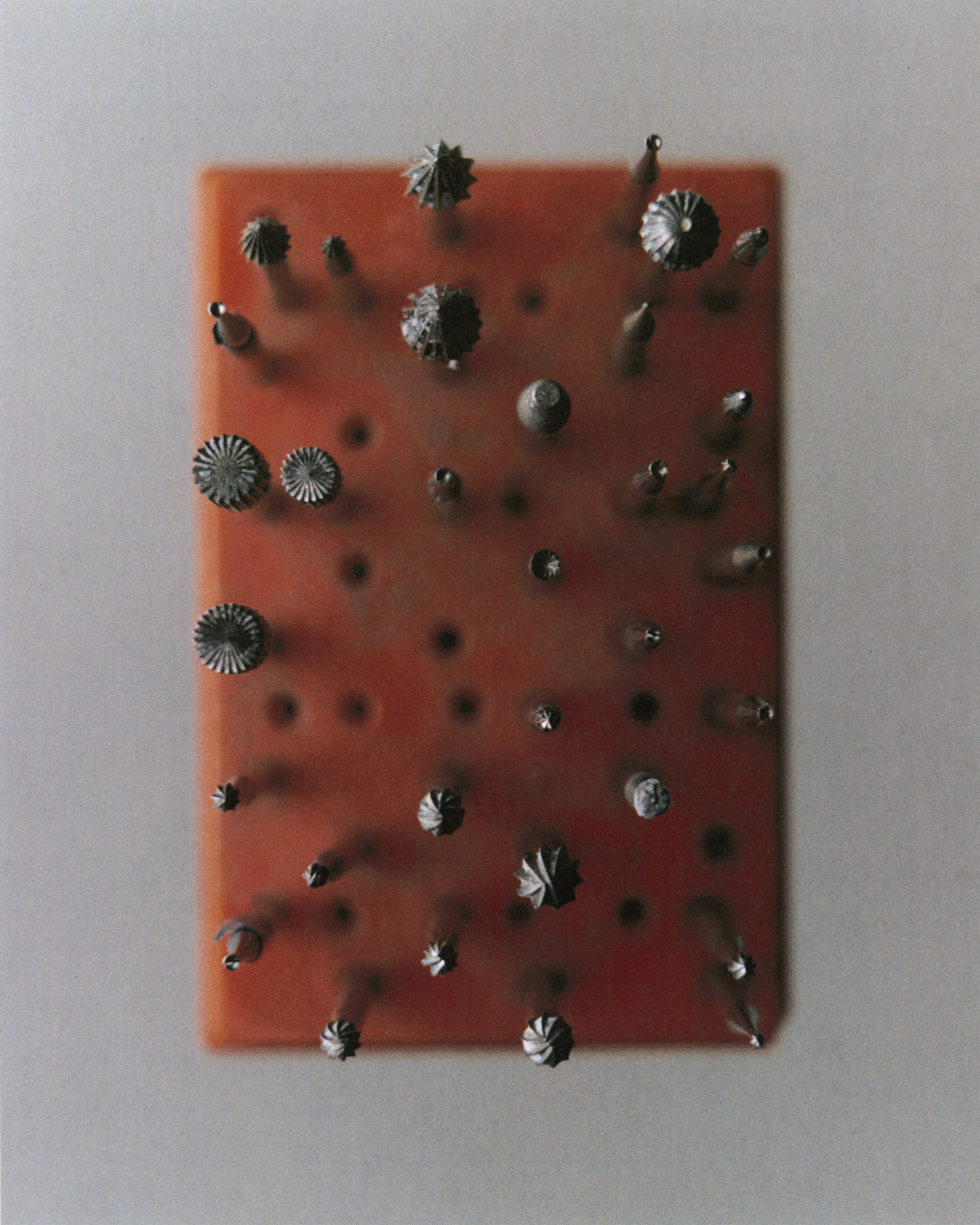 Photograph 9 by Max Zimmermann